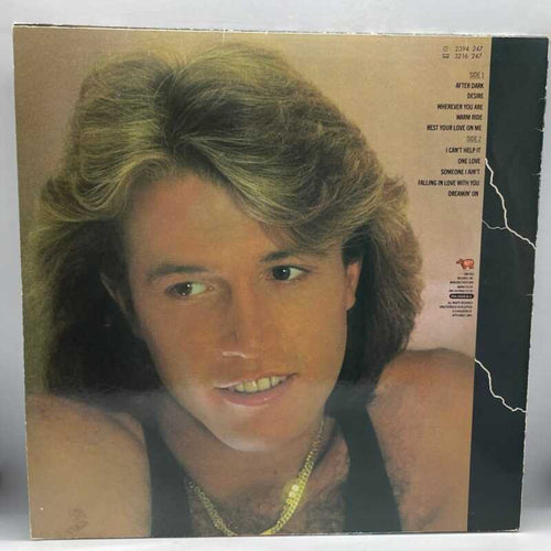Andy Gibb - After Dark
