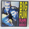 Big Fun - Blame It On The Boogie