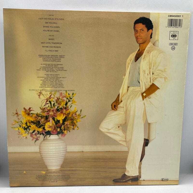 Gregory Abbott - Shake You Down