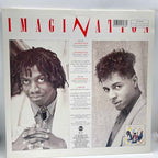 Imagination - Instinctual
