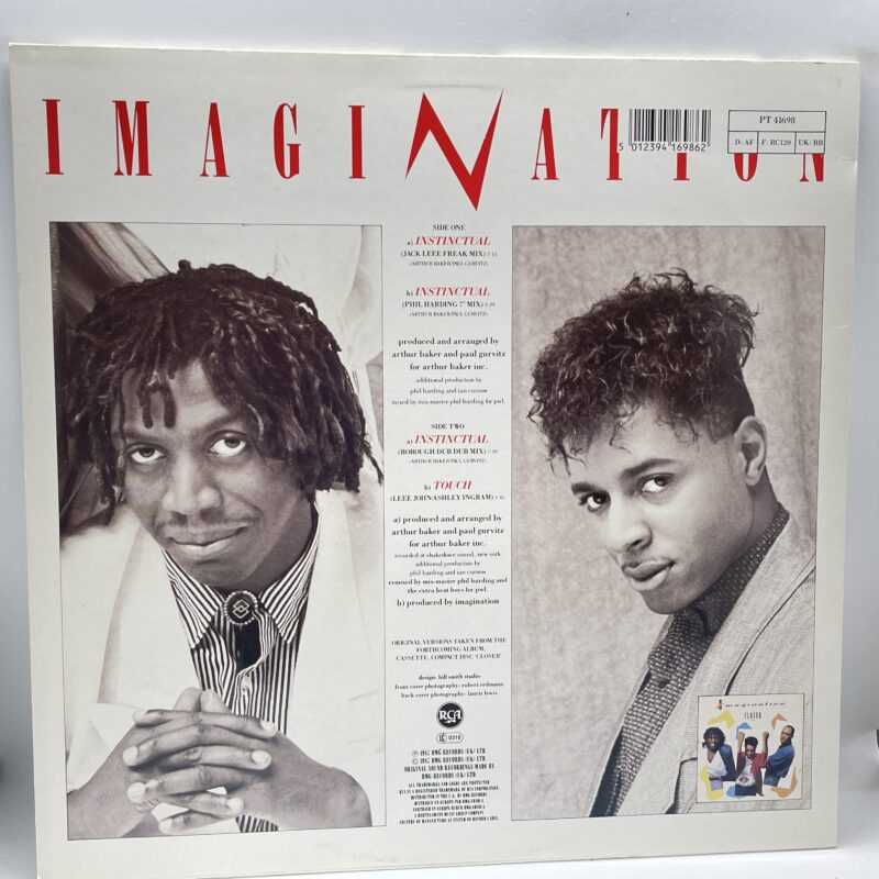 Imagination - Instinctual