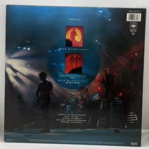Spandau Ballet-How Many Lies? (LP back cover)